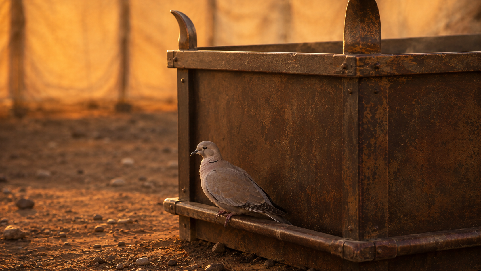 A turtledove perched at the base of a bronze altar at golden hour, evoking the bird offering of Leviticus 1:14-17