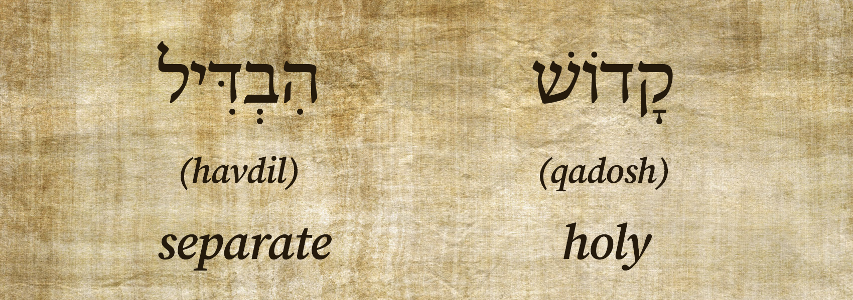 Word study card showing the connection between holiness and separation in Leviticus 11