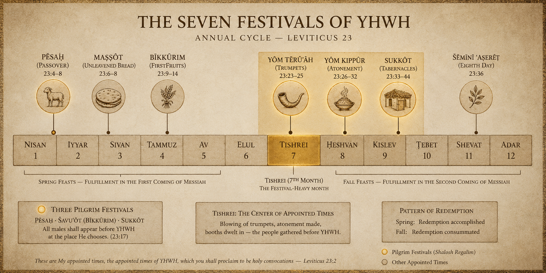 A diagram of the Hebrew festival year showing the seven major appointed times mapped across the calendar